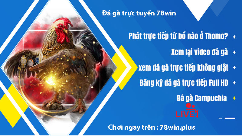 chơi ngay đá gà trên 78win