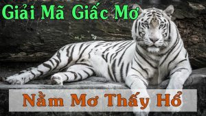 Mơ thấy hổ