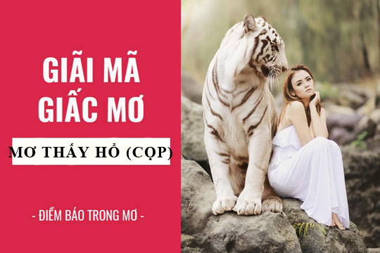 Ý nghĩa điềm báo khi mơ thấy hổ là gì?