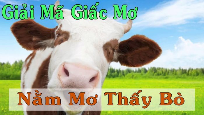 Mơ thấy con bò có ý nghĩa gì?